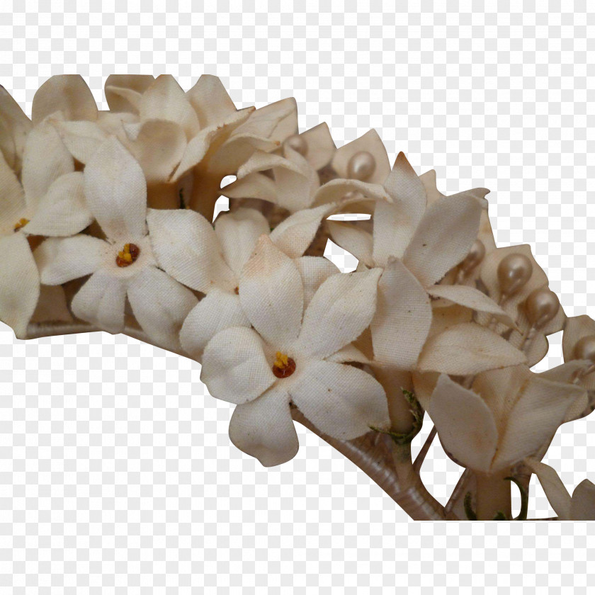 Diadem Cut Flowers Petal Hair Clothing Accessories PNG