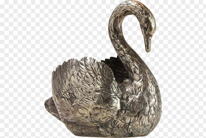 Duck Hanau Cygnini The Silver Swan PNG