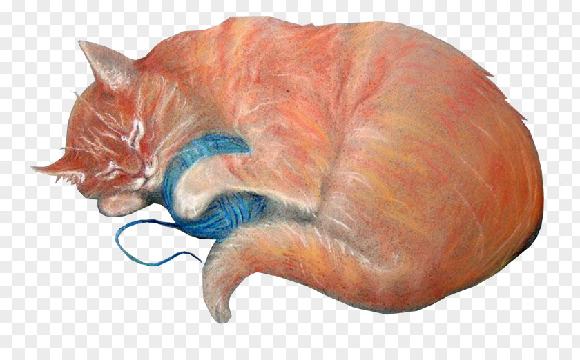 Knitting & Ready Made Logo Cat Megabyte Clip Art PNG
