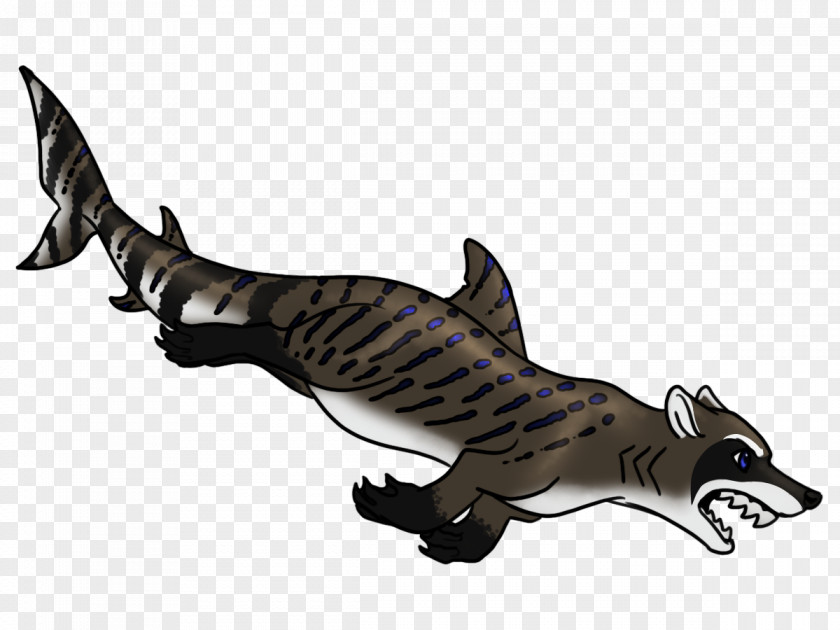 Shark Requiem Sharks Marine Mammal Carnivora Animal PNG