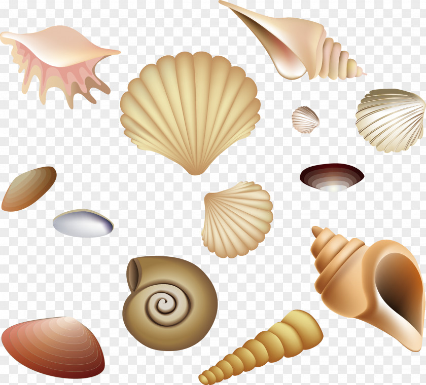 Snails And Fairies Beach PNG