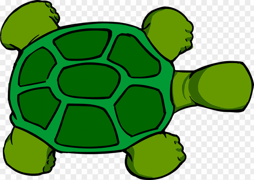 Turtle Sea Clip Art Reptile Openclipart PNG