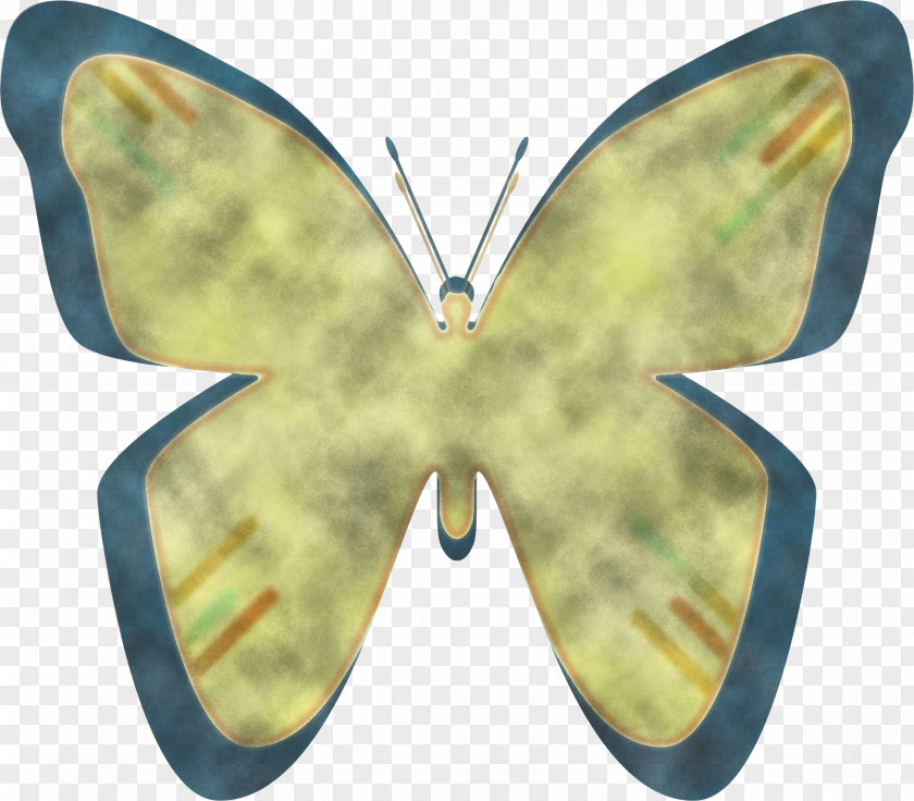 Brush-footed Butterflies Pieridae Moth Symmetry PNG