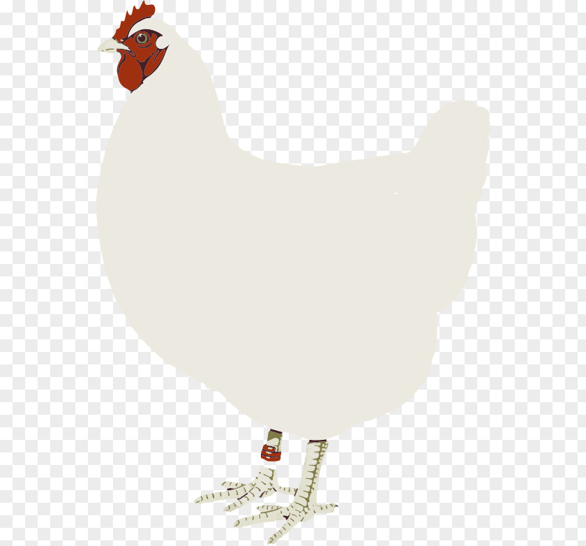 Chickie Cliparts Rooster Chicken Clip Art PNG