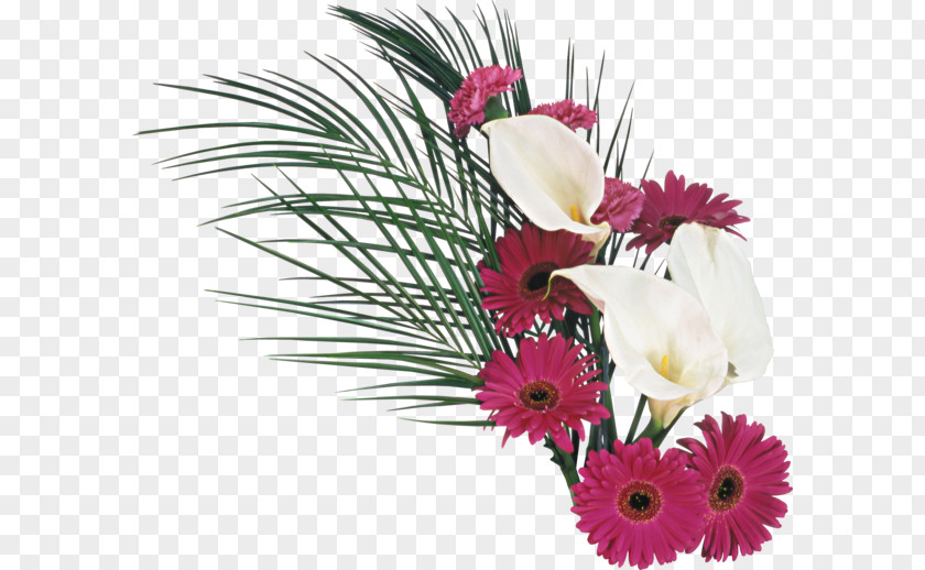 Chrysanthemum Flowers Pull Material Free Birthday Flower Christmas PNG