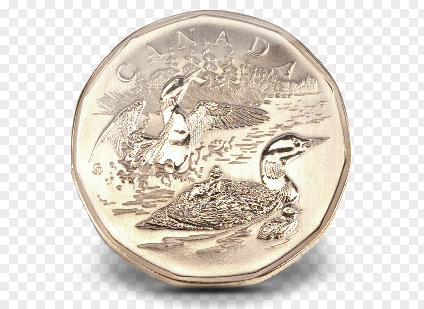 Coin Dollar Canada Loonie Canadian PNG