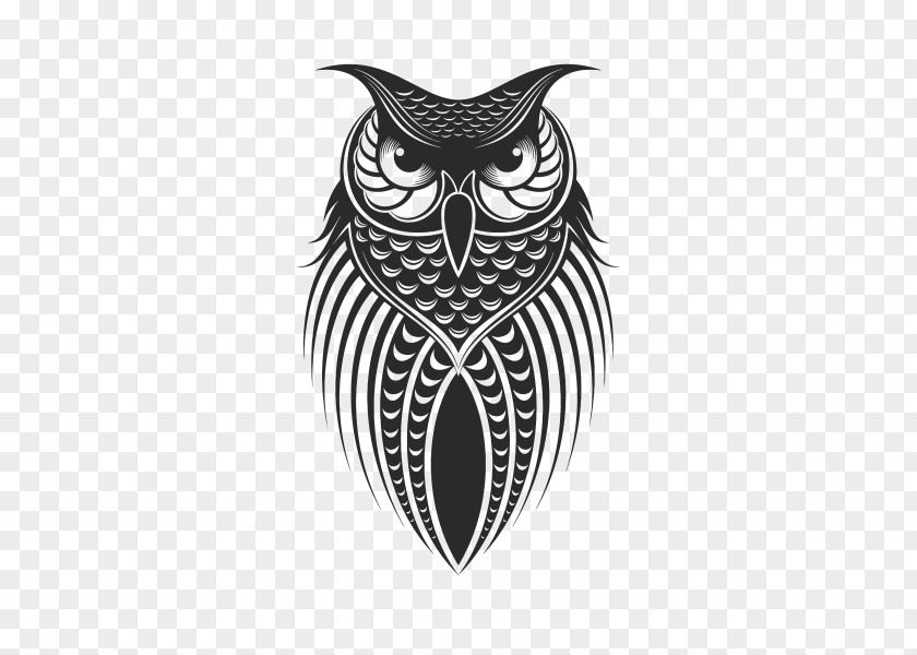 Cool Black Owl Drawing Bird PNG