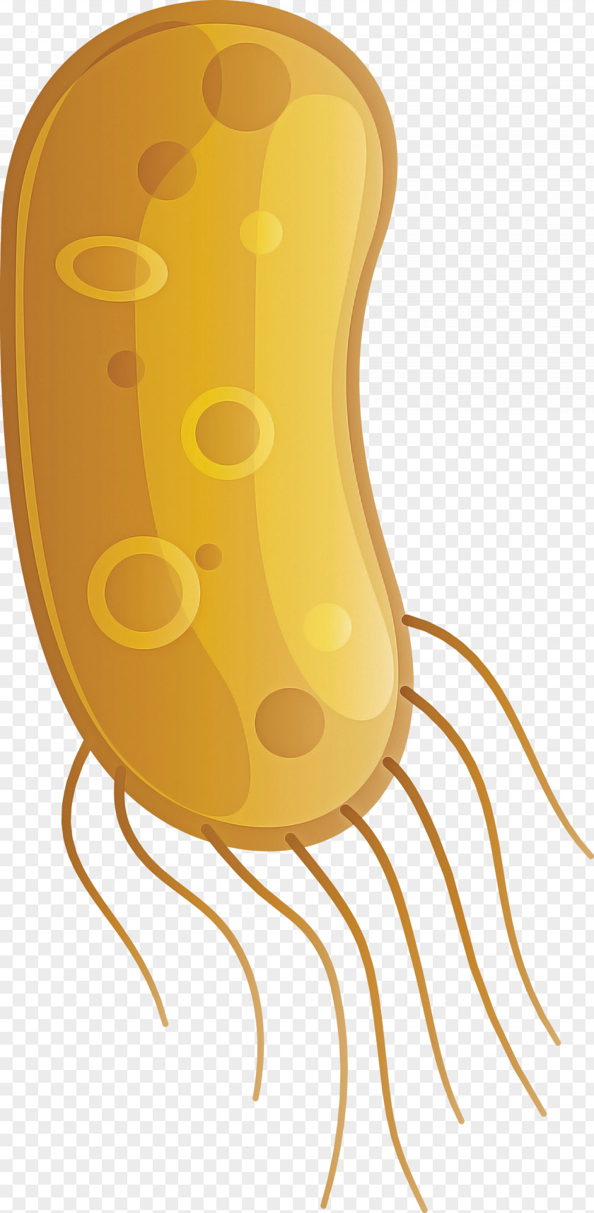 Coronavirus Corona COVID PNG