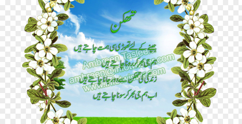 Jumma Mubarak Picture Frames Paper Bokmärke Clip Art PNG