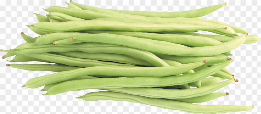 Pea Common Bean Lima Vegetable Green PNG