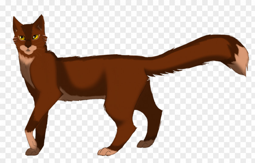 Cat Whiskers Kitten Thornclaw Hazeltail PNG