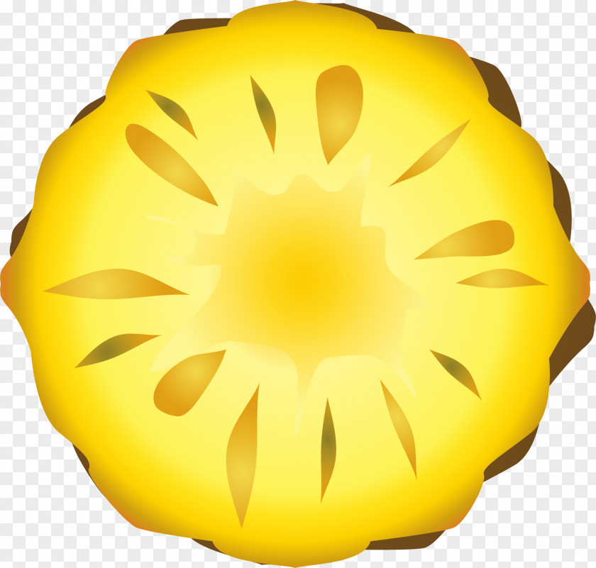 Hand Painted Yellow Biscuits PNG