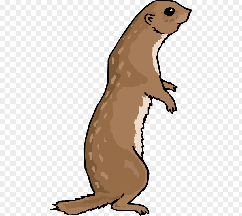 Otter Cliparts Black-tailed Prairie Dog Clip Art PNG