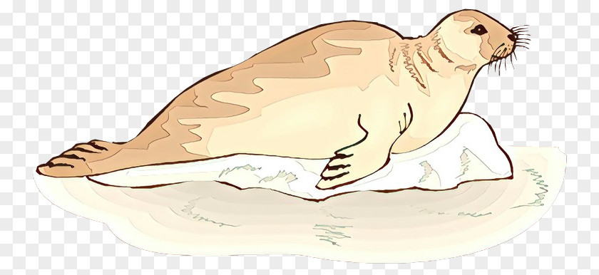 Sea Lion Clip Art Illustration /m/02csf Hare PNG
