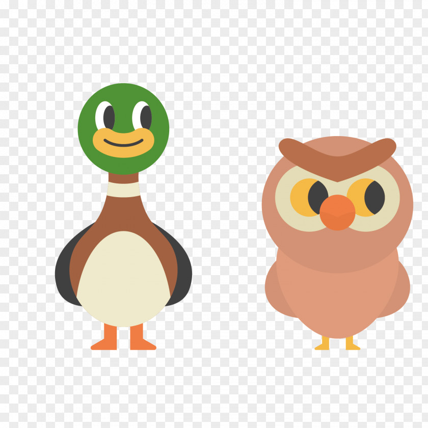 Vector Cartoon Owl Birds Duck PNG