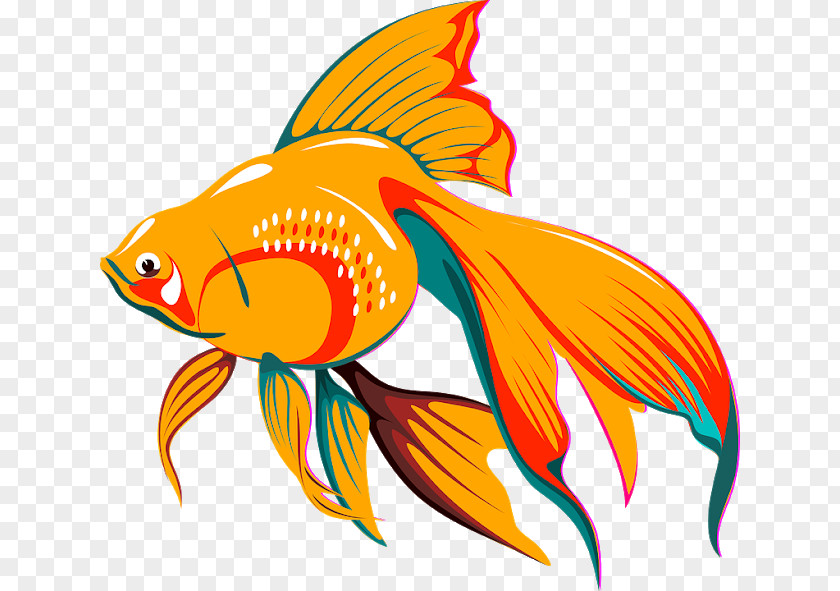 Fish Goldfish Koi Aquarium Clip Art PNG