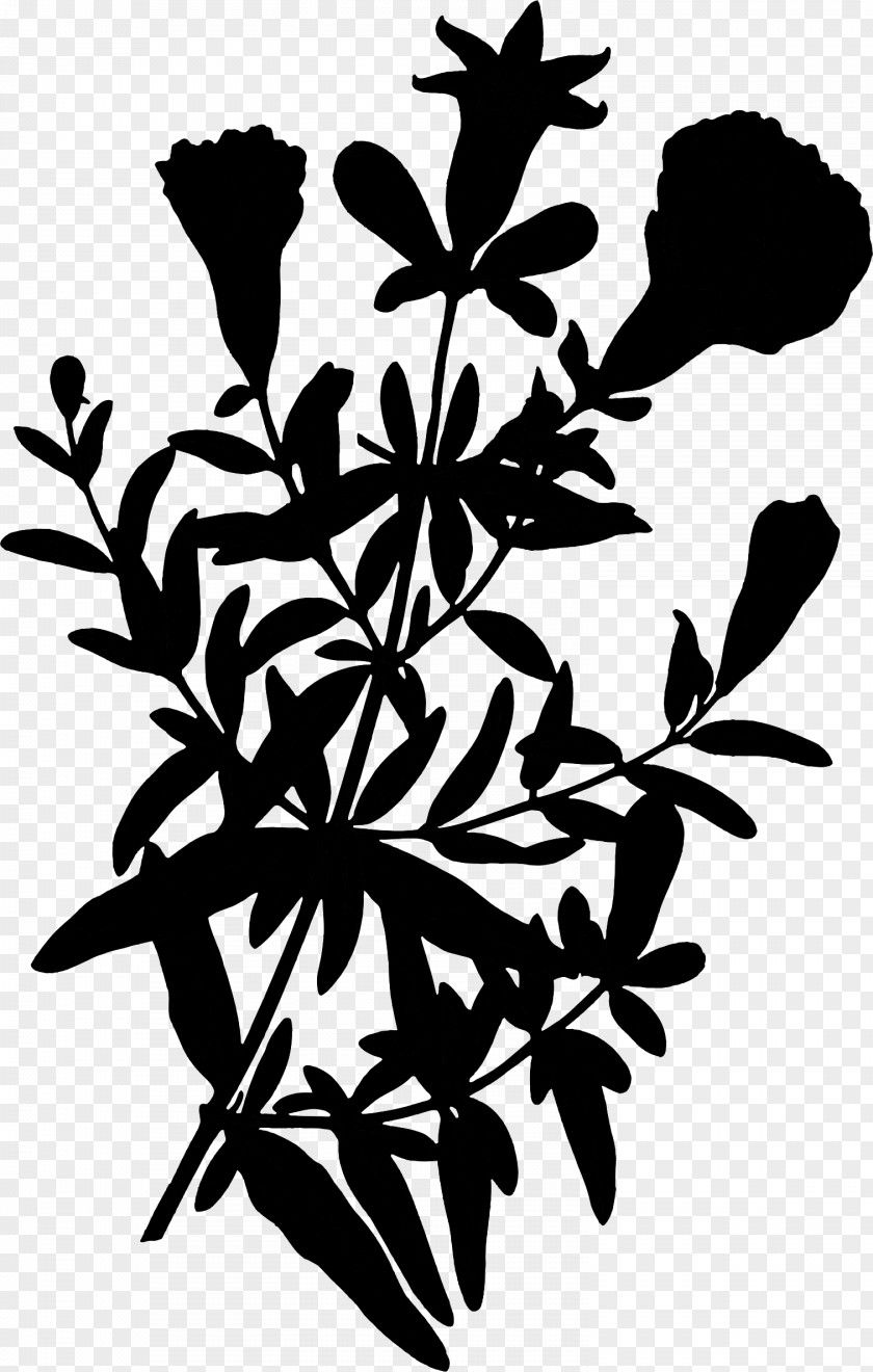 Flower Plant Stem Leaf Clip Art Pattern PNG