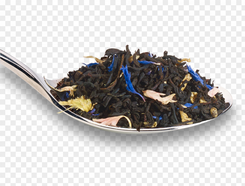 Tea Production In Sri Lanka Da Hong Pao Ceylan Twinings PNG