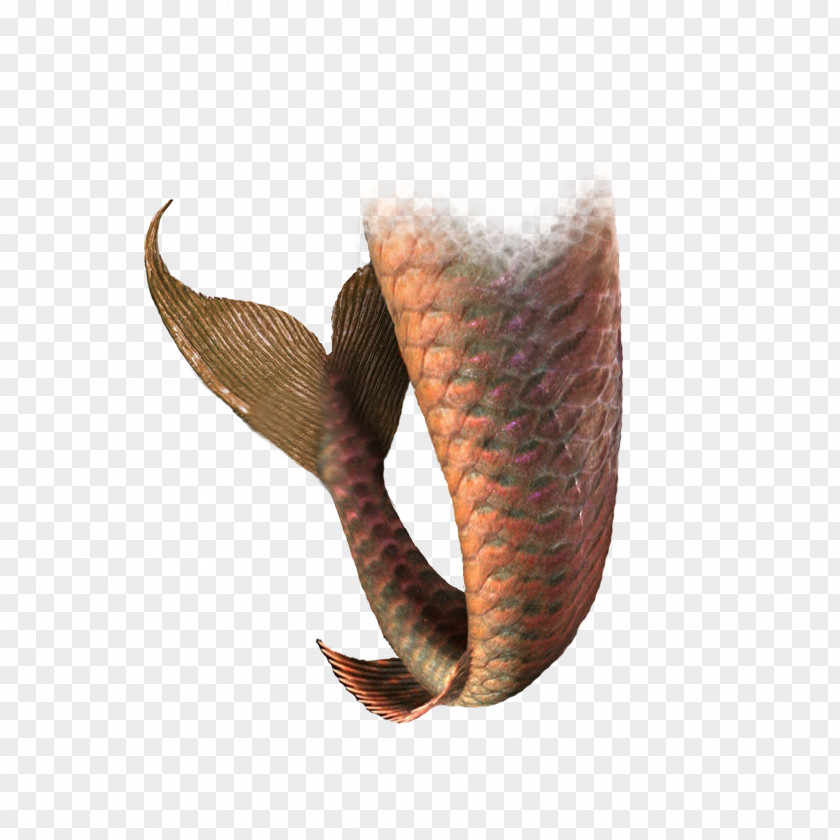 Creative Brown Mermaid Tail PNG