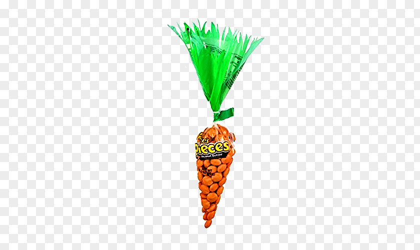 Watercolor Carrot Flowerpot Fruit PNG