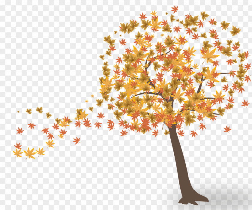 Branch Autumn Leaf Color Genealogy Family PNG