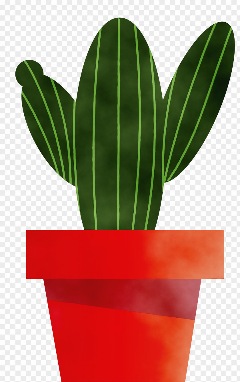 Cactus PNG