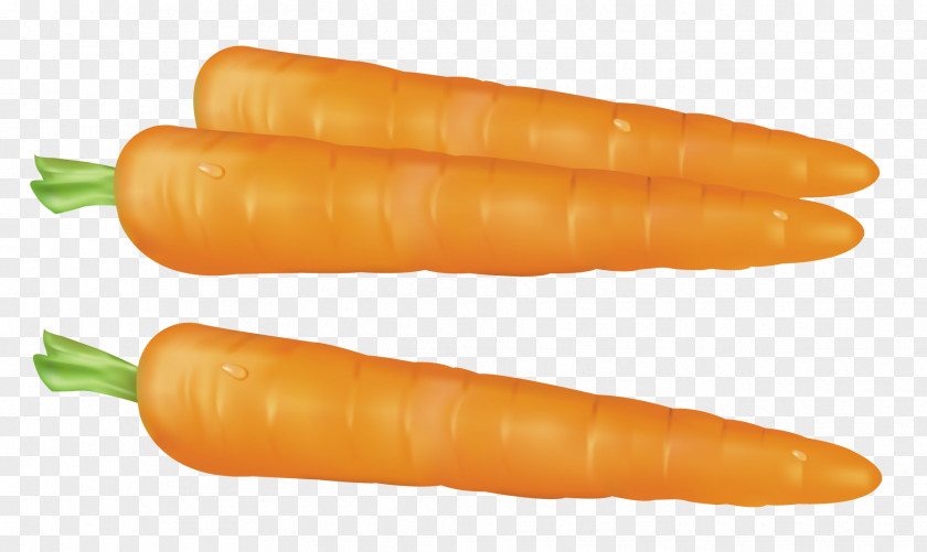 Carrots Pictures Baby Carrot Vegetable Clip Art PNG