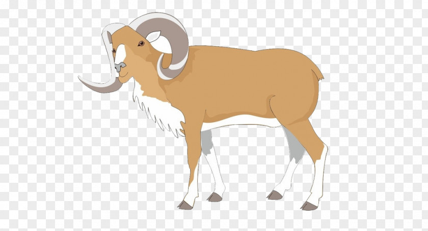 Goat Bighorn Sheep Dall Clip Art PNG