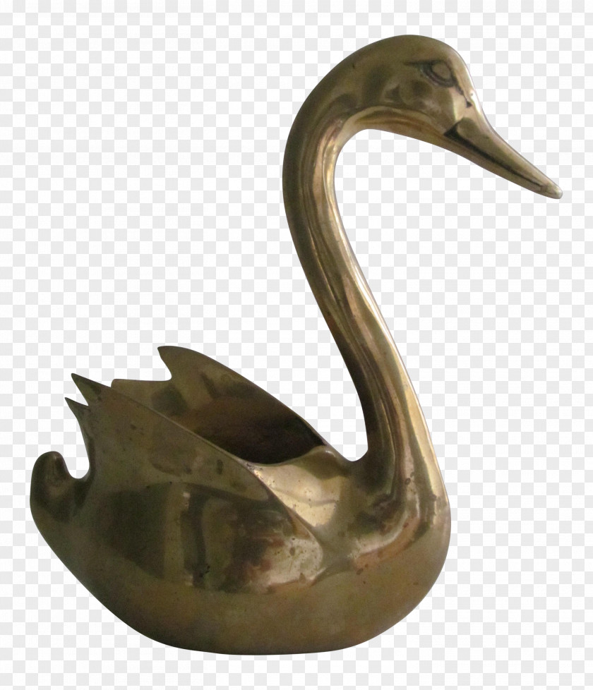 Goose Cygnini Duck Water Bird PNG