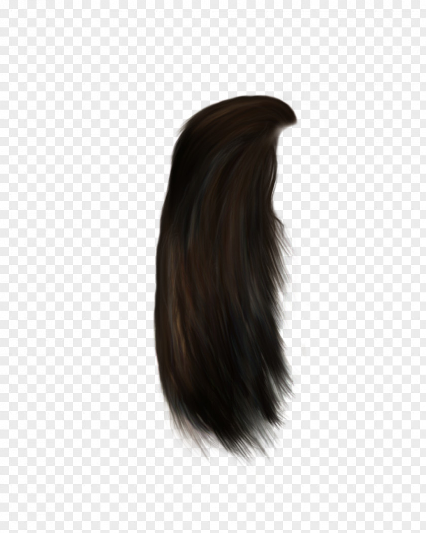 Hair 12 Black Coloring Brown Long PNG