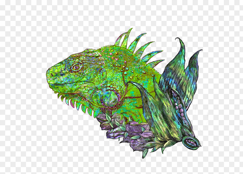 Reptile Legendary Creature Fish PNG