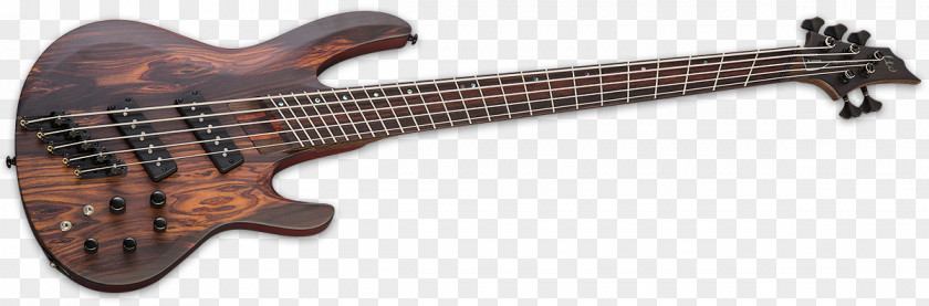 Bass Guitar Acoustic-electric ESP Guitars PNG