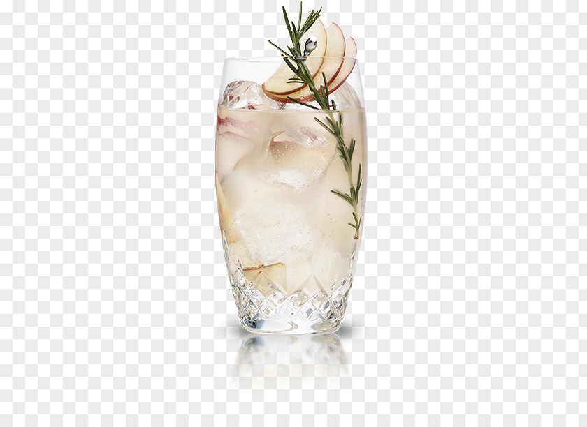 Cocktail Rickey Fizz Gin Shrub PNG