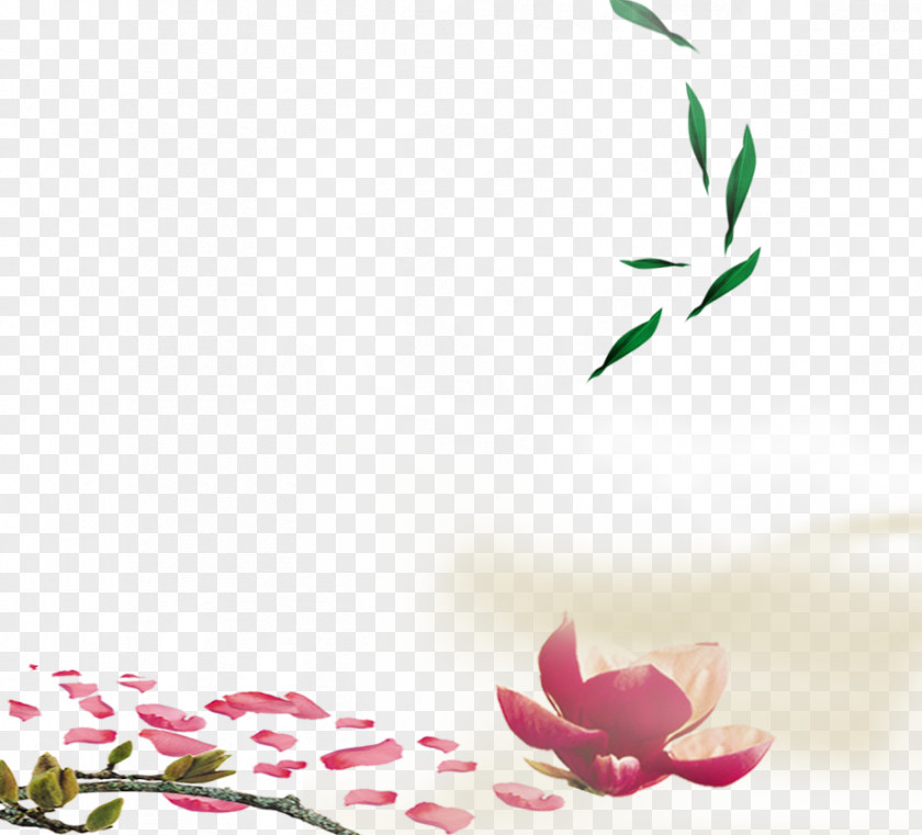 Leaves Petal Pink Wallpaper PNG