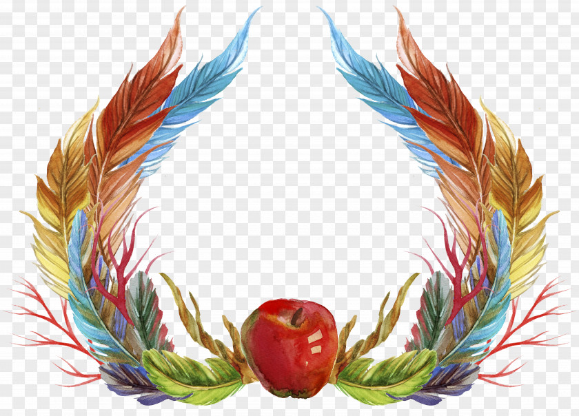 Plant Colorful Feathers Feather Icon PNG