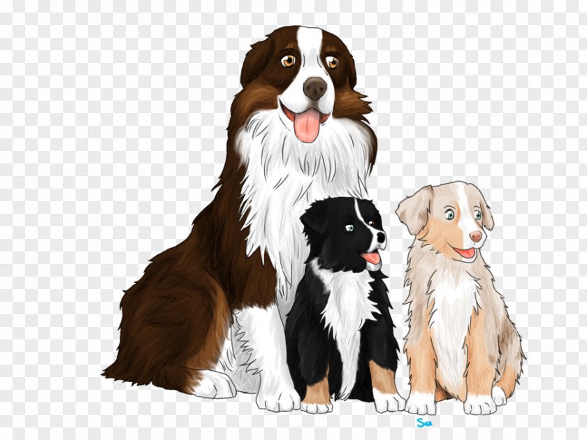 Puppy Dog Breed Bernese Mountain Great Pyrenees Companion PNG