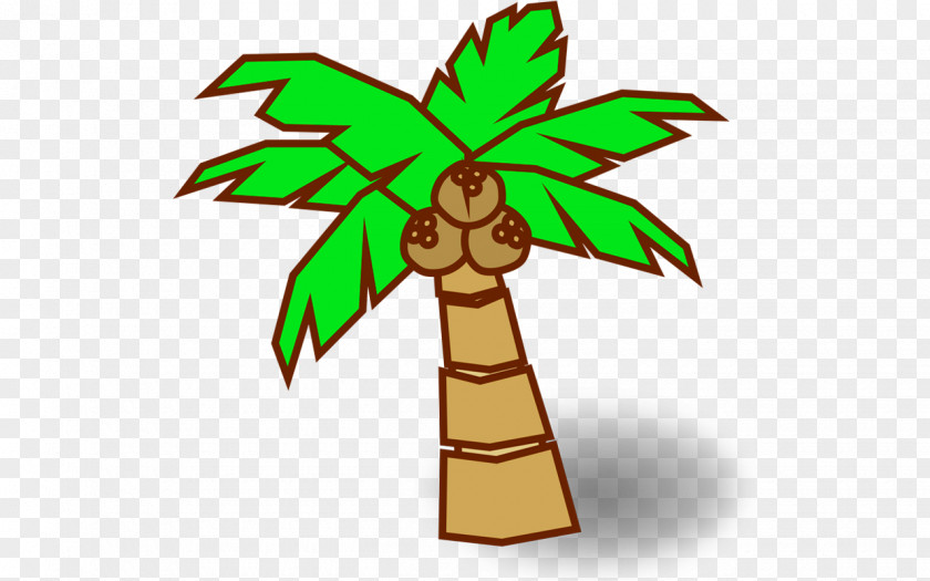 Realistic Almond Coconut Plant Tree Arecaceae Clip Art PNG