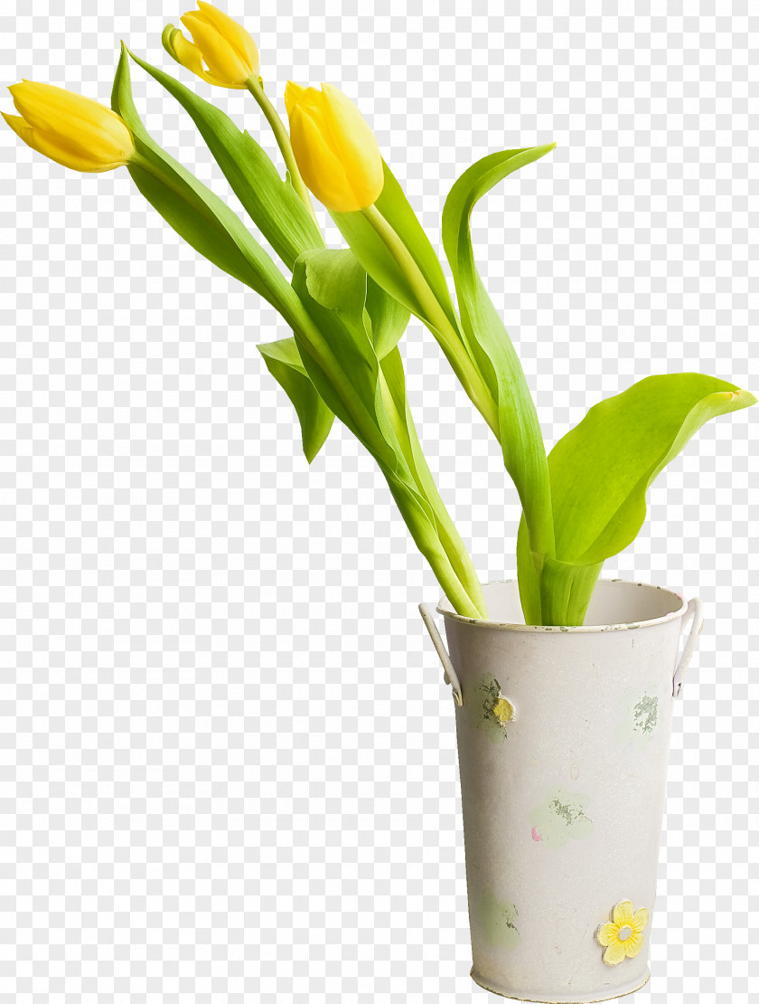 Tulips Cut Flowers Tulip Plant Clip Art PNG