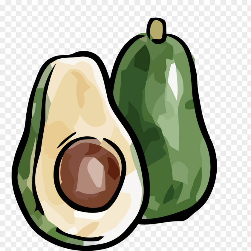 Vector Creative Hand-painted Avocado Fruit Euclidean PNG