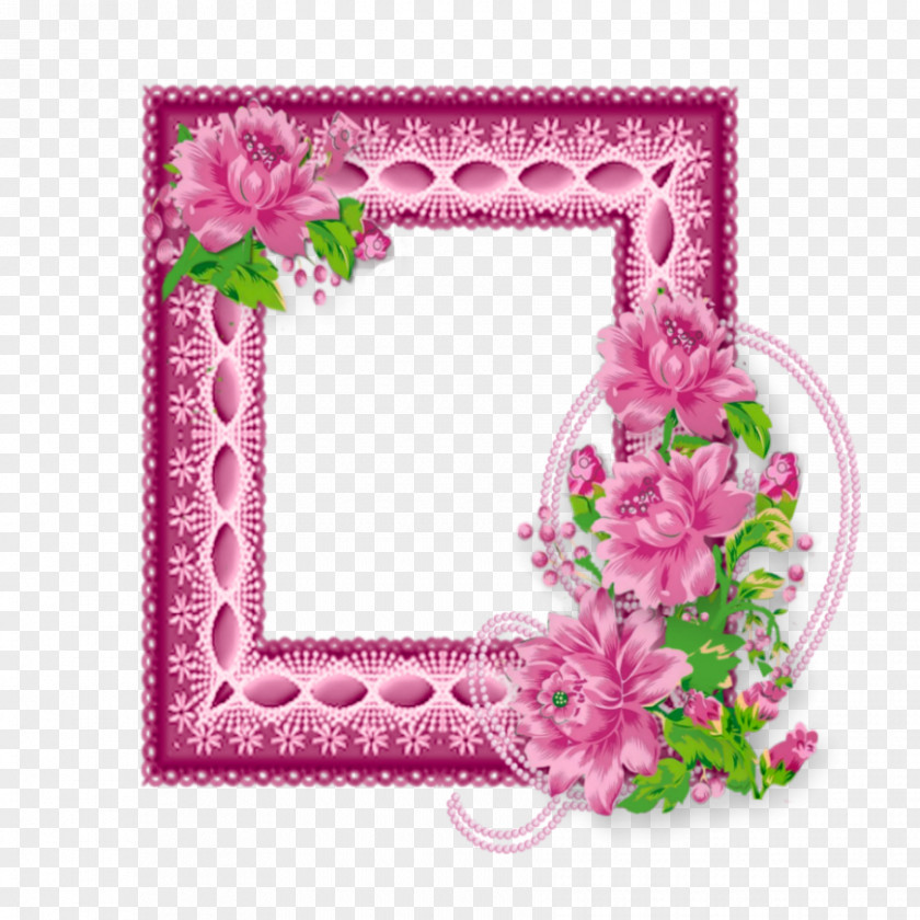 Butterfly Frame Picture Frames T-shirt Photography Floral Design PNG