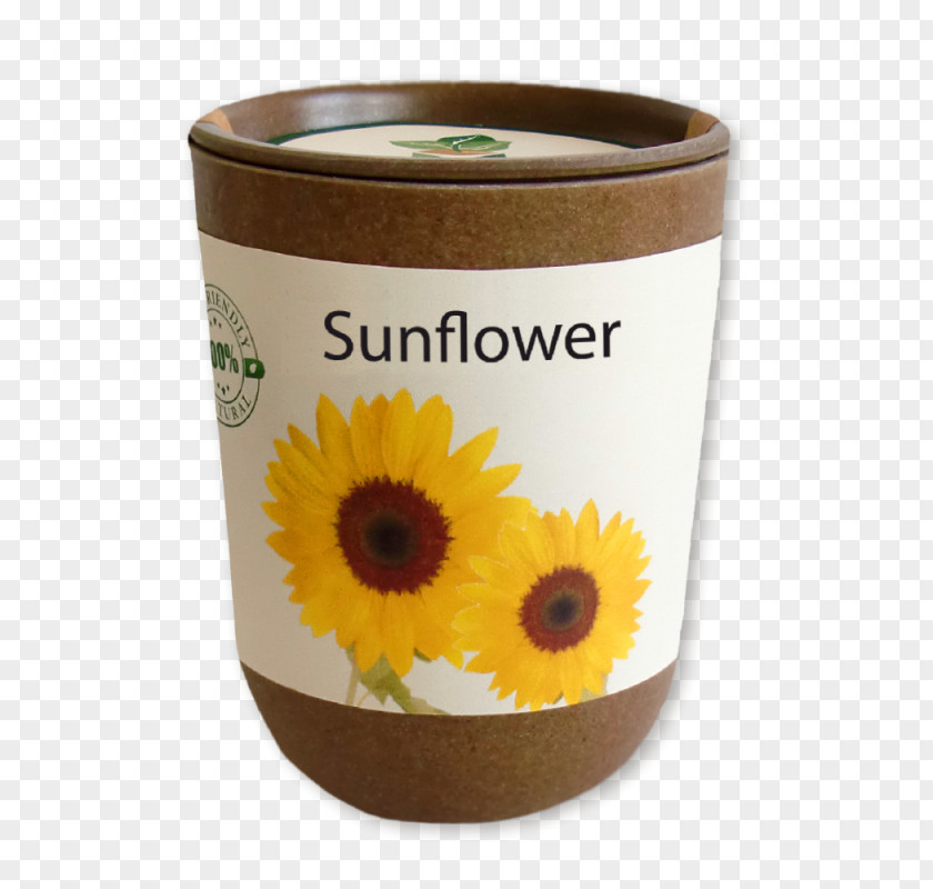 Das Kleine Baby-Buch PlantGrass Cube Common Sunflower Seed Blume Artgerecht PNG