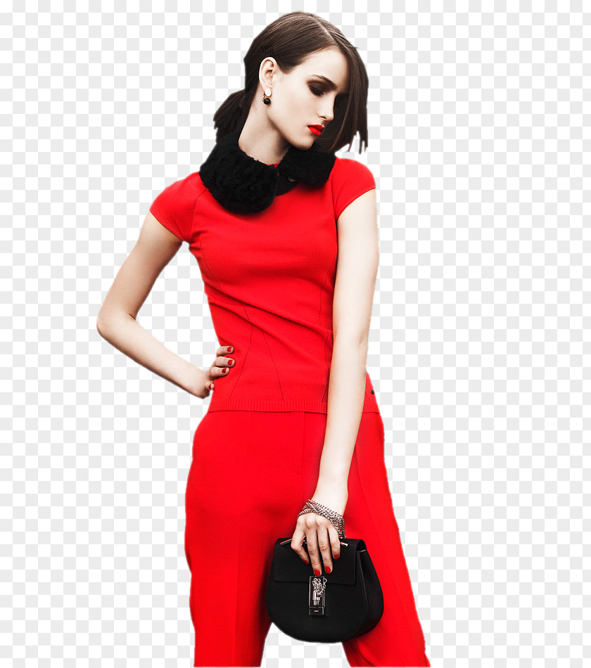 Dress Sleeve Bodycon Ruffle Miniskirt PNG