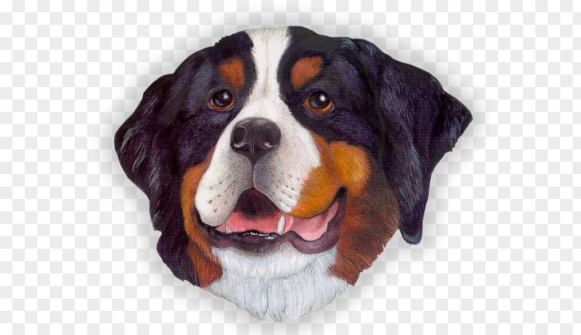 Golden Retriever Entlebucher Mountain Dog Bernese Animaatio PNG