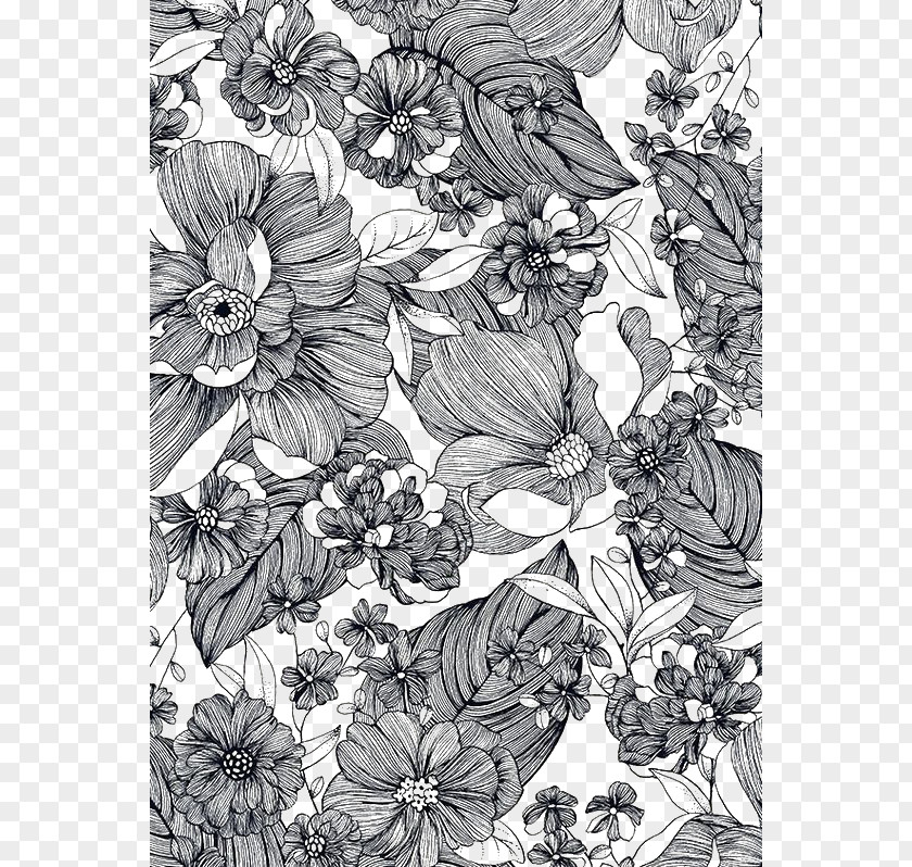 Line Drawing Of Flowers Art PNG
