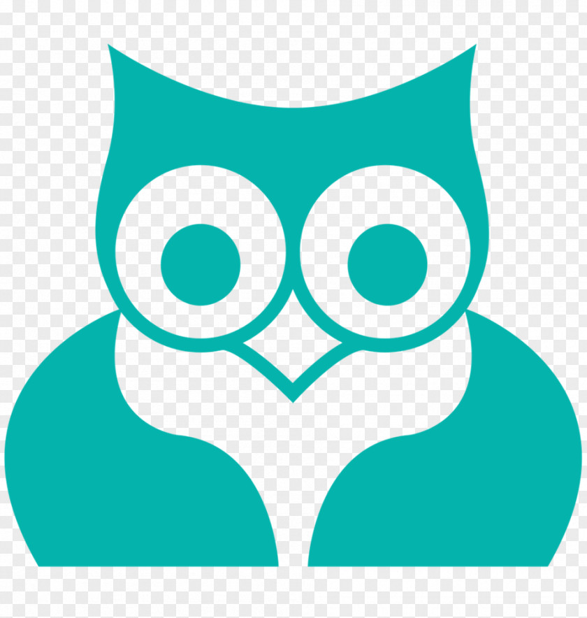 Owl Splash Screen PNG