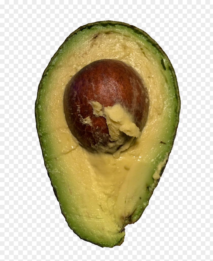 Avocado Stock Photography Image PNG