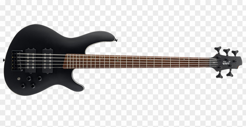 Bass Guitar Peavey Electronics Electric String PNG
