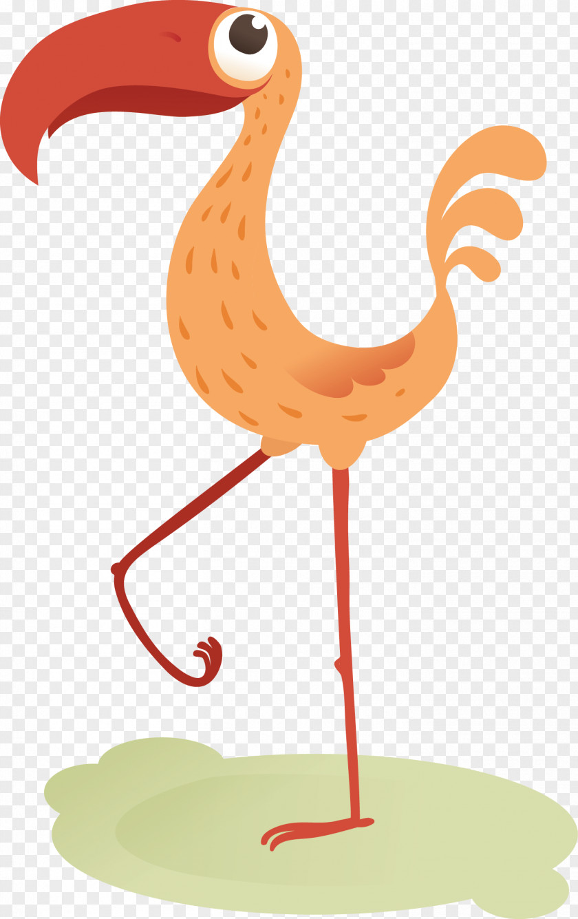 Creative Bird Vector Pelican Flamingo Icon PNG