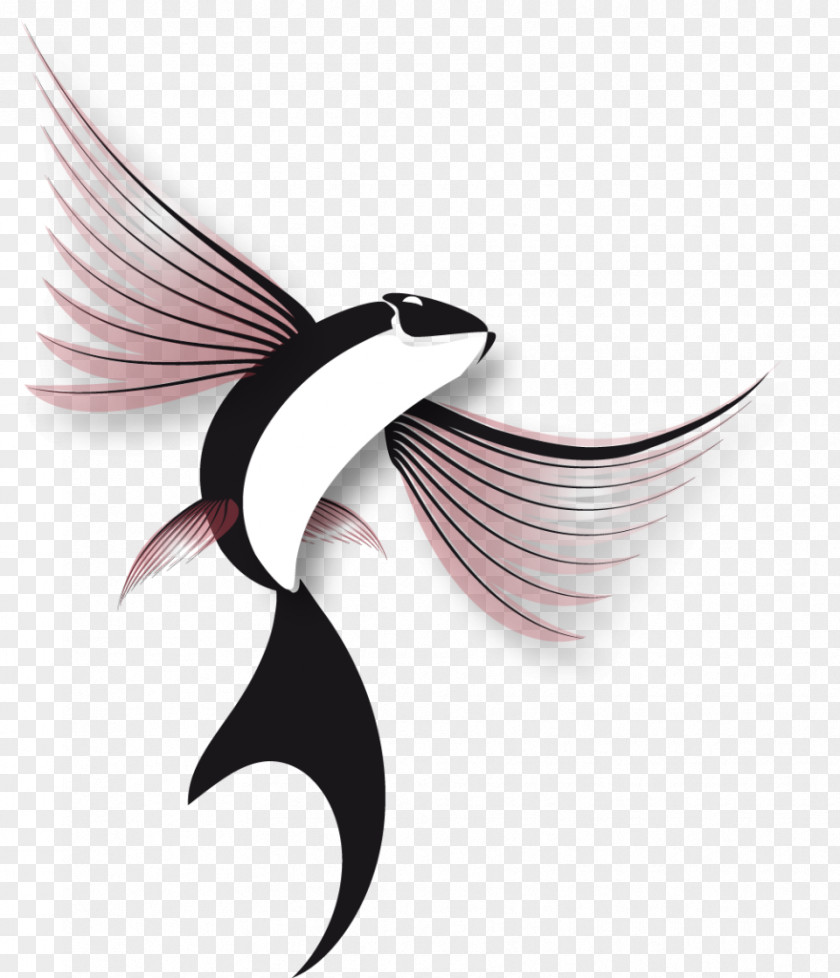 Fish Flying Flight Logo PNG