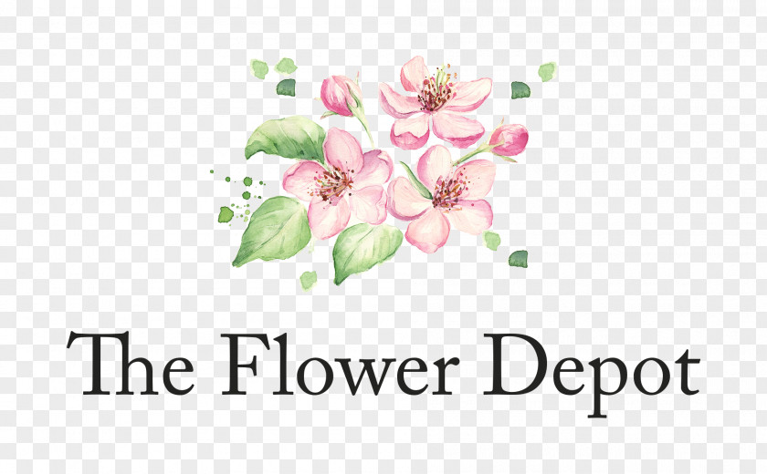 Flower Floral Design Stock Illustration Blossom PNG